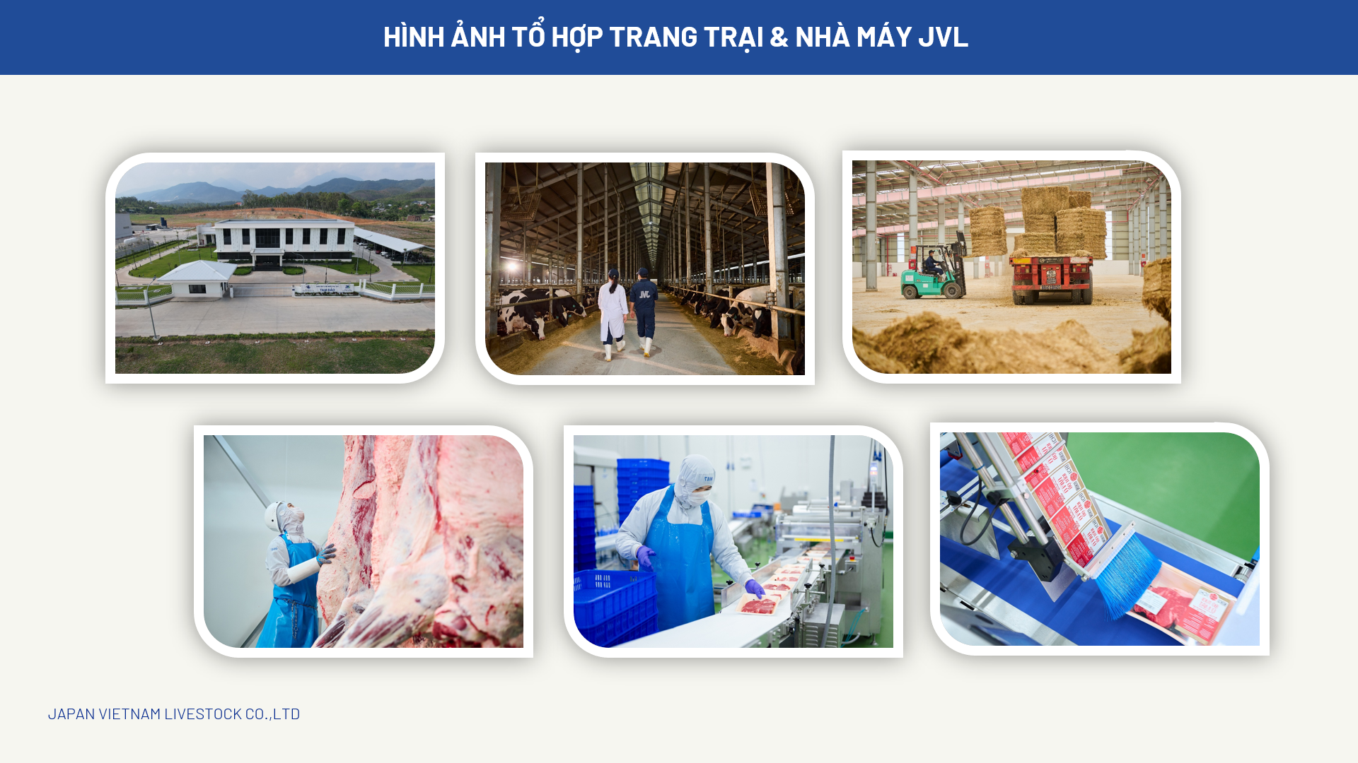 Tổ hợp trang trại và nhà máy JVL