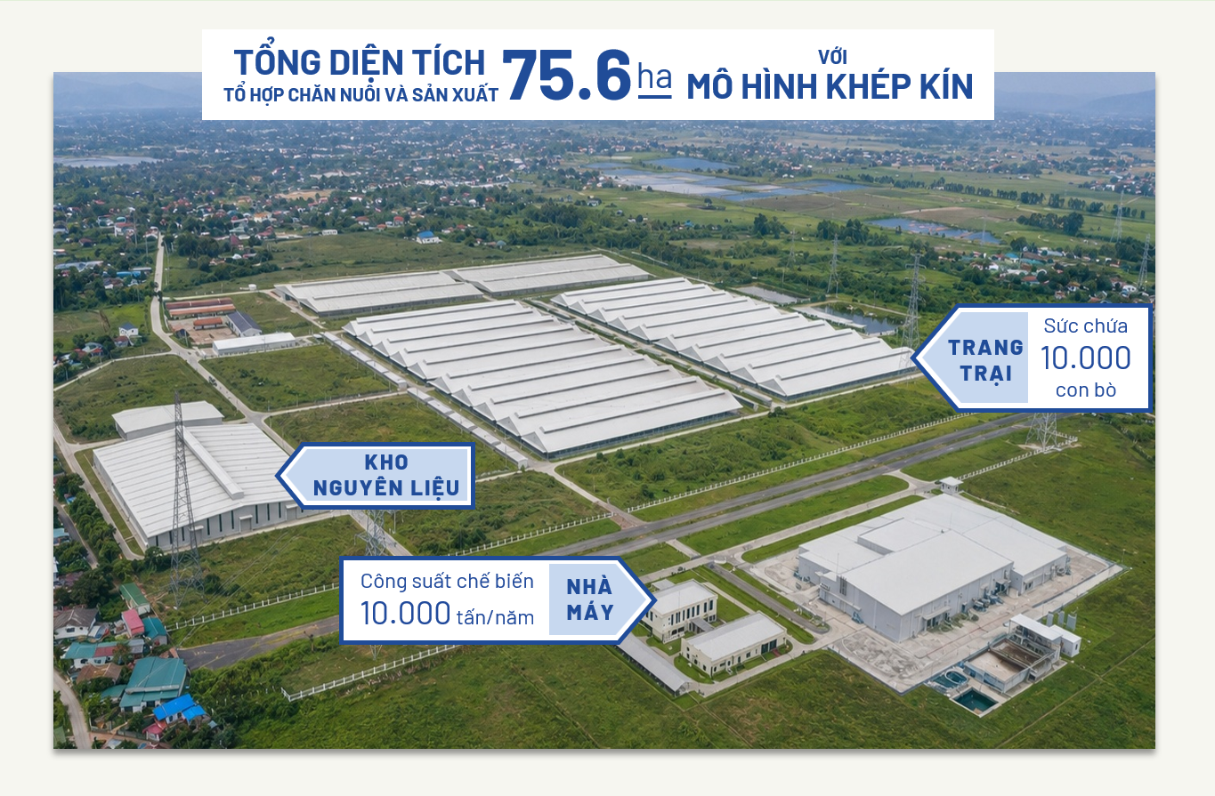 Quy mô tổ hợp chăn nuôi và sản xuất của JVL tại Tam Đảo